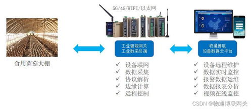 智慧賦能，科技興農(nóng) 食用菌菇大棚環(huán)境實(shí)時(shí)監(jiān)測(cè)與自動(dòng)化控制系統(tǒng)